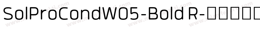 SolProCondW05-Bold R字体转换